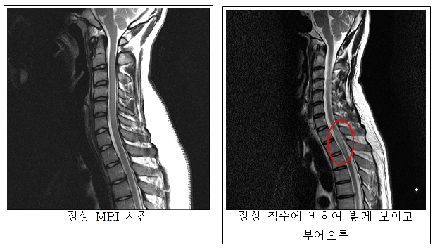������&nbsp;�츦&nbsp;�θ�&nbsp;����&nbsp;������&nbsp;������...