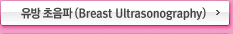 유방 초음파 (Breast Ultrasonography)