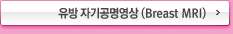 유방 자기공명영상 (Breast MRI)