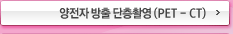 양전자 방출 단층촬영 (PET - CT)
