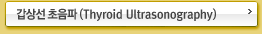 갑상선 초음파 (Thyroid Ultrasonography)