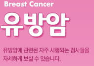 유방암 - 유방암에 관련된 자주 시행되는 검사들을 자세하게 보실 수 있습니다.