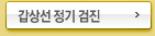갑상선 정기 검진