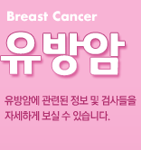 유방암 - 유방암에 관련된 정보 및 검사들을 자세하게 보실 수 있습니다.