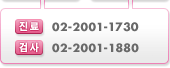 진료:02-2001-1790 / 검사:02-2001-1880