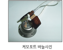 케모포트 바늘사진