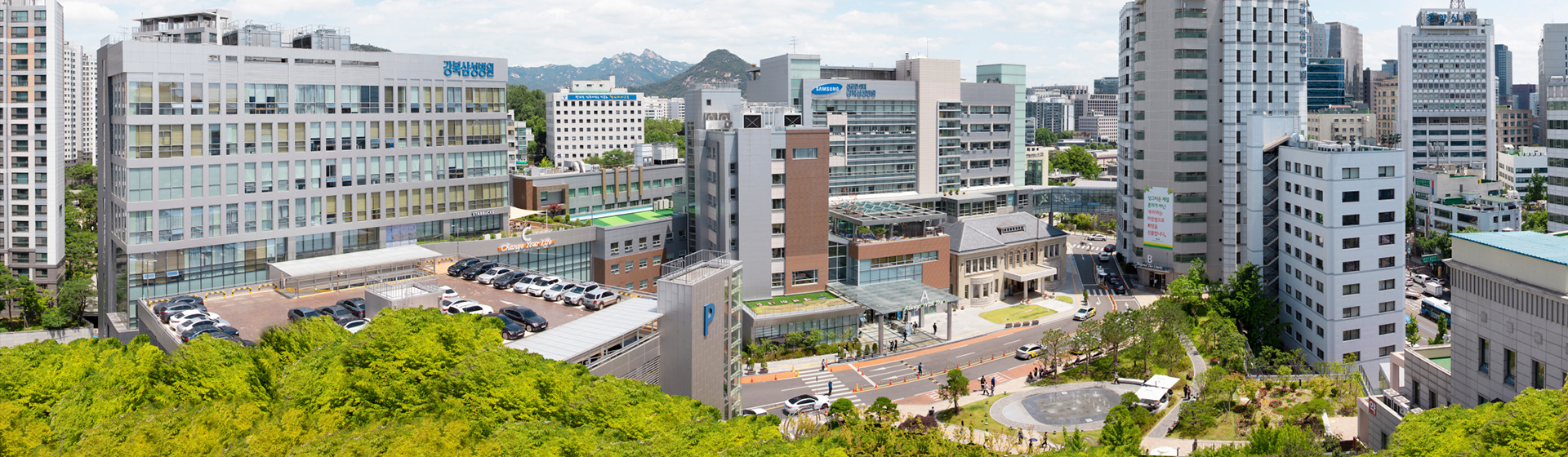 배너 이미지